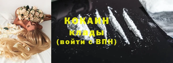 прущие грибы Арсеньев