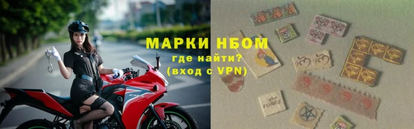 прущие грибы Арсеньев