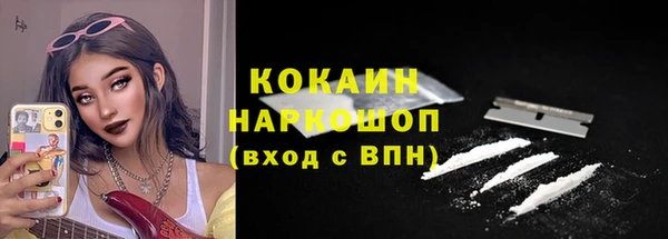 прущие грибы Арсеньев