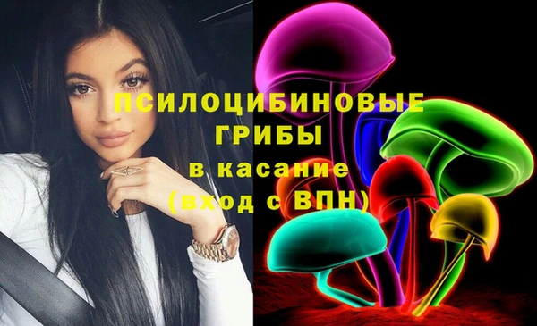 прущие грибы Арсеньев