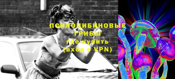 прущий лед Алексин