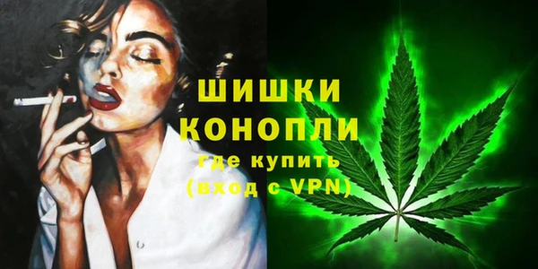 дмт Аркадак
