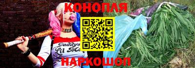 сатива Кулебаки